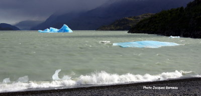 Lac Grey, Parc national Torres del Paine, Chili - IMGP9694.JPG