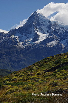Parc national Torres del Paine, Chili - IMGP9753.JPG