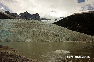 Glacier Pia, Chili - IMGP0104.JPG