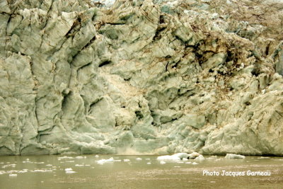 Glacier Pia, Chili - IMGP0114.JPG