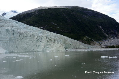 Glacier Pia, Chili - IMGP0126.JPG