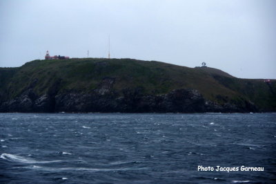 Cap Horn, archipel de la Terre de Feu, Chili - IMGP0207.JPG