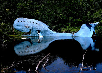 27 Blue Whale.jpg