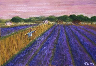 JOCO 2020 - Lavender Fields