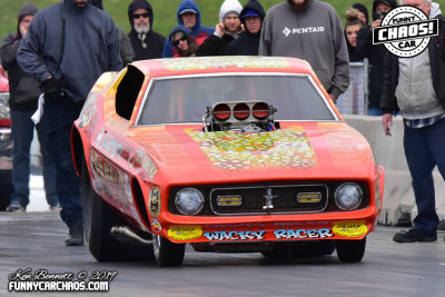g12/77/273377/3/169748185.cvQ0ZWZ2.jpg