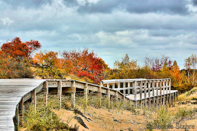  Boardwalk