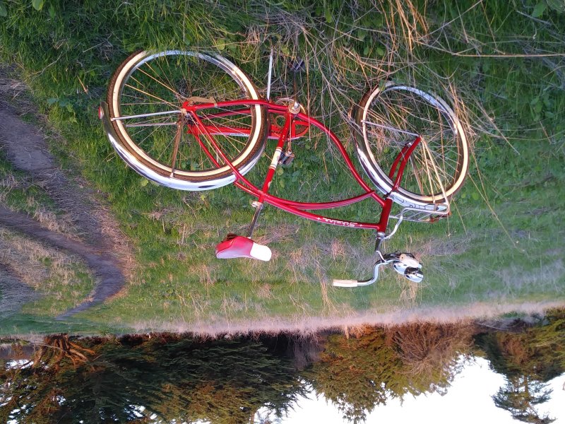 Schwinn American King Size