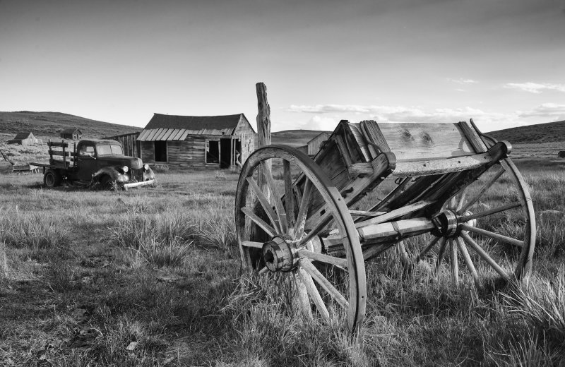 DSC_4959bw.jpg