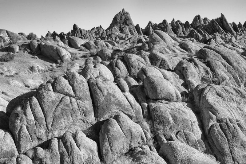 DSC_5851bw.jpg