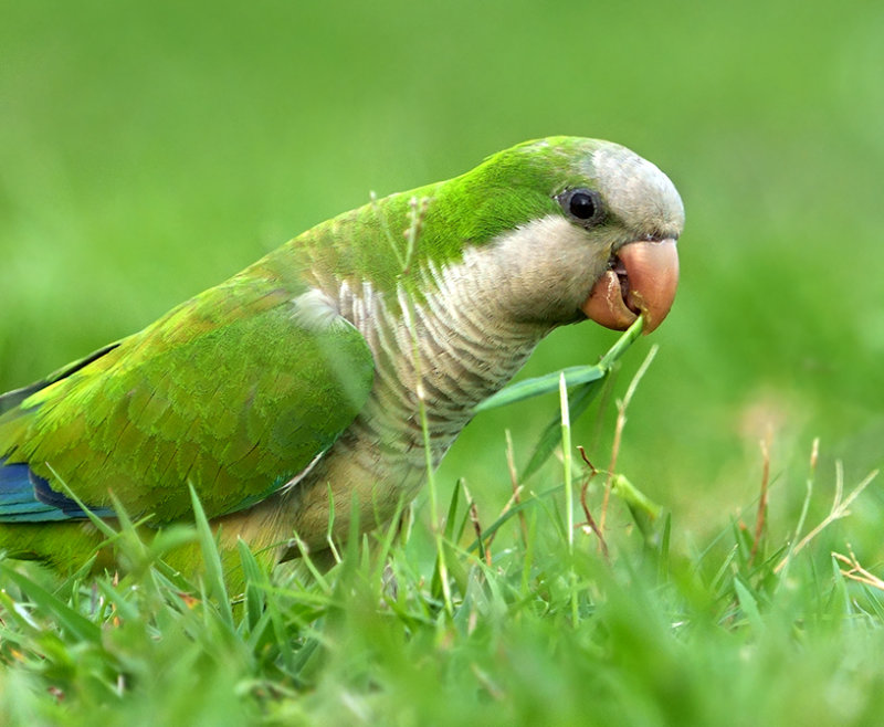 Snack time