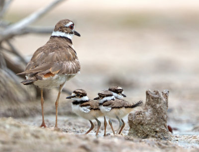 Hey, where did Mom go?