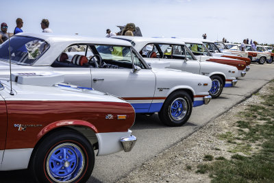 AMC Red White and Blue cars