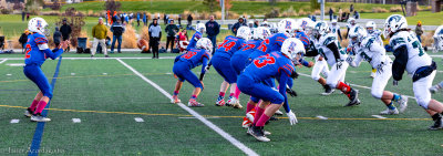 IMG_8566.jpg