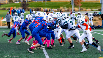 IMG_8694.jpg