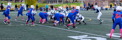IMG_8763.jpg