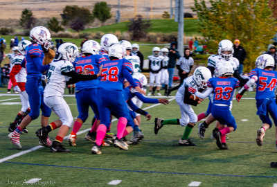 IMG_9176.jpg