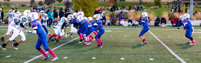IMG_9254.jpg
