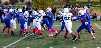 IMG_9261.jpg