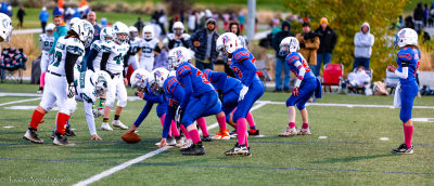IMG_9273.jpg