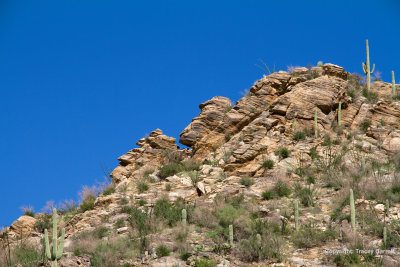 Desert View