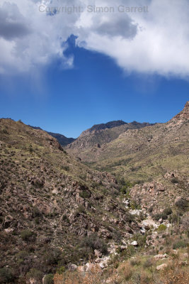 Virga