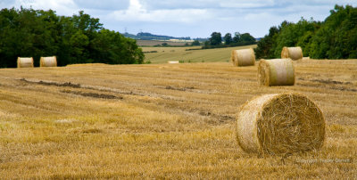 Rolled hay