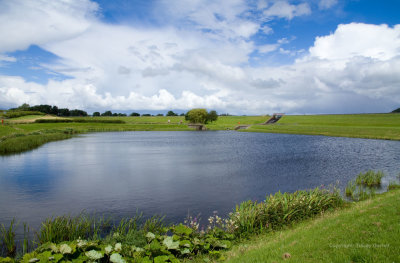 Whittle Dene Reservoir