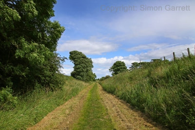 The way on