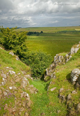 A gate to the North!