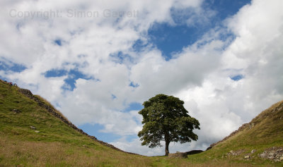 Sycamore Gap