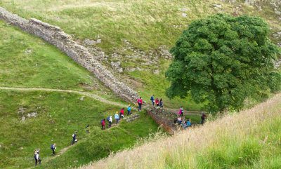 Busy path