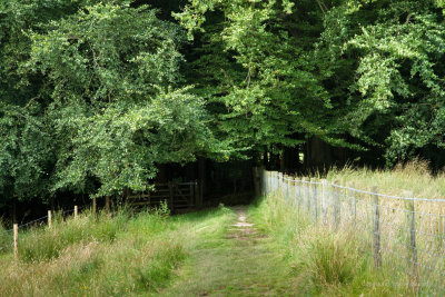 If you go down to the woods today.....