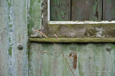 Derelict detail