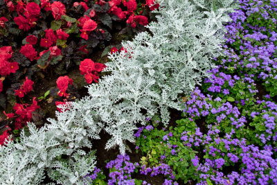 Flower display