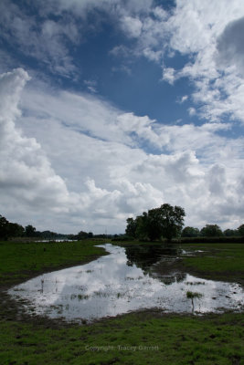 Flooding