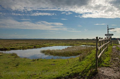 Marshes at Boustead Hill