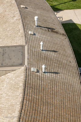 The roof