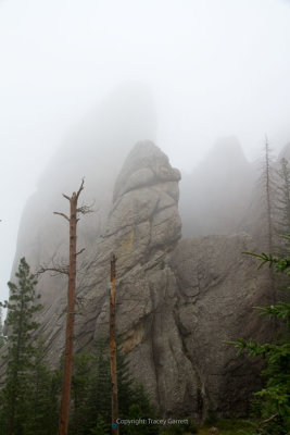 Misty