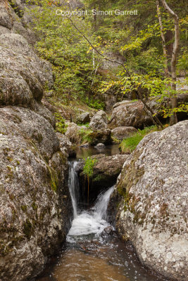 Sunday Gulch Trail