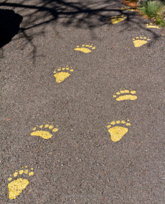 Follow the prints