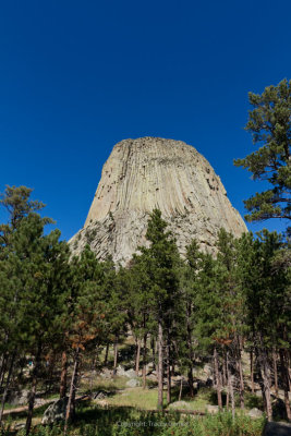 The Devil's Tower