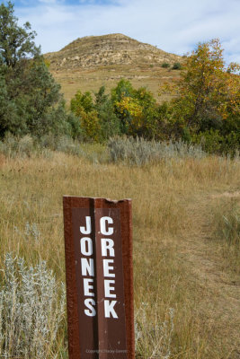 Jones Creek Trail