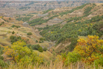 Autumn At Theodore Roosevelt