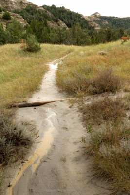 Muddy trail