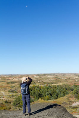 Petrified Forest Trail