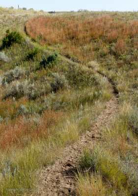 Curved path