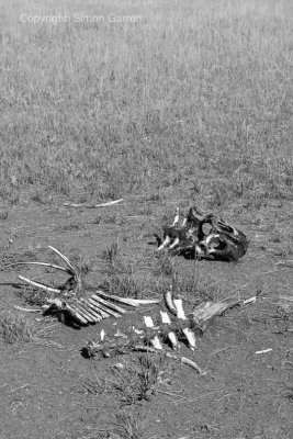 Remains