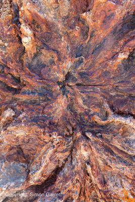 Petrified Log
