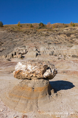 Petrified Mushroom