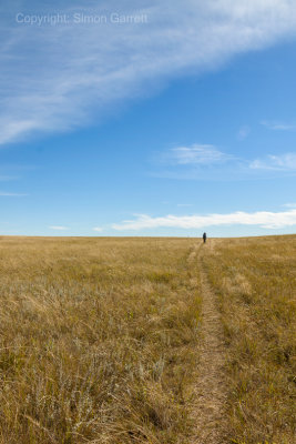 The Open Plain